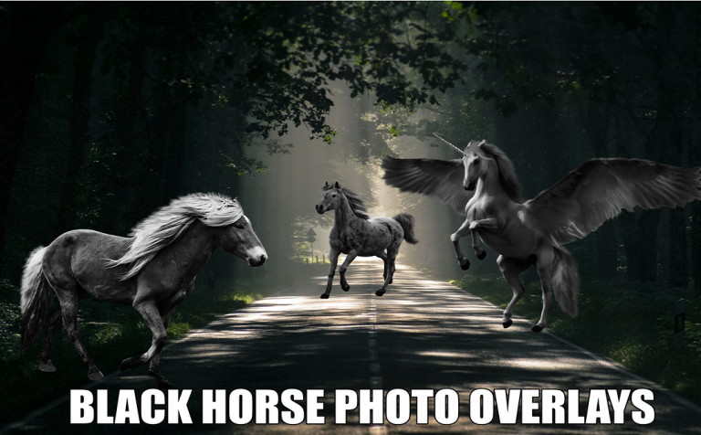 DARK HORSE IMAGES