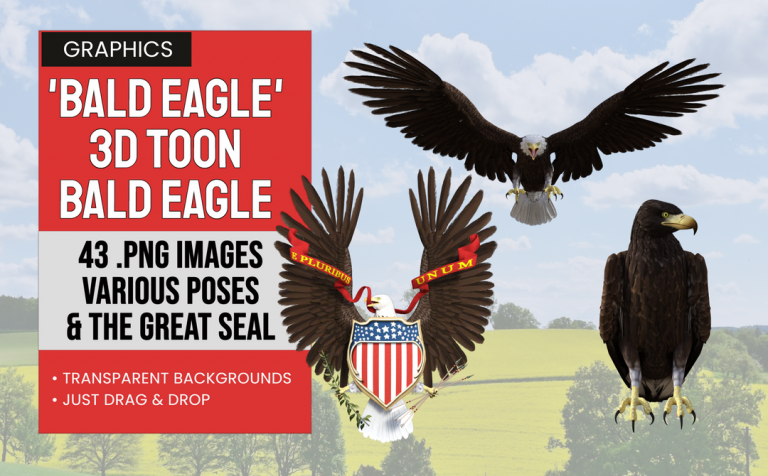 Eagle – 3D Toon Bald Eagle