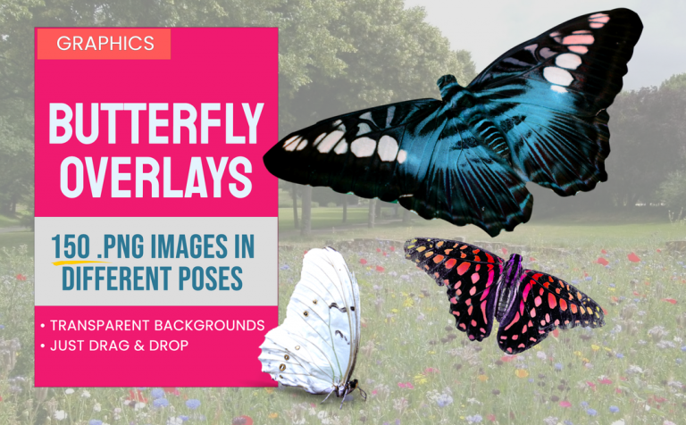 BUTTERFLY OVERLAYS